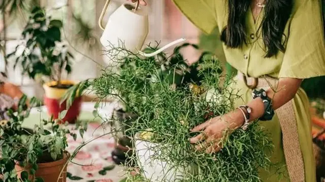 بوټو ته پام وکړئ