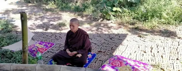 တော်လှန်ရေး ထောက်ပို့မဖြစ်ခင်က သီလရှင် ဒေါ်ဝရဉာဏီ