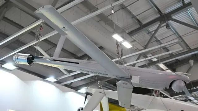 स्काय स्ट्रायकर ड्रोन हे रडारवर न सापडता शत्रूच्या हद्दीत प्रवेश करून हल्ला करू शकतो.
