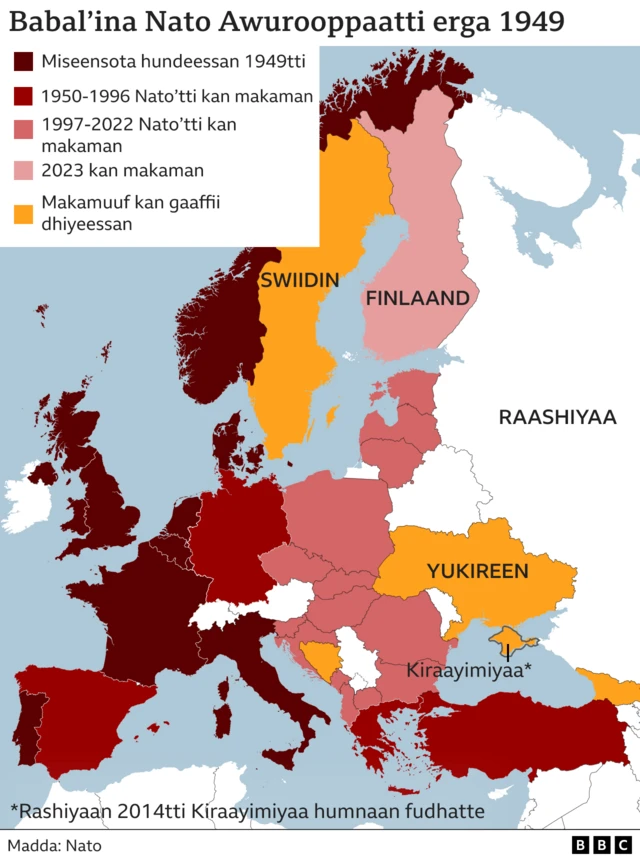 Map of Nato members and countries wanting to join it 