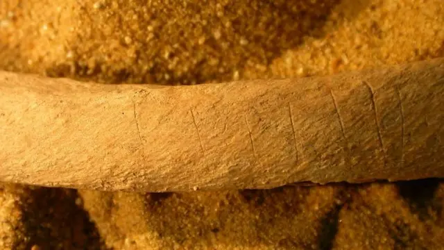 Marcas de cuchillo en huesos.