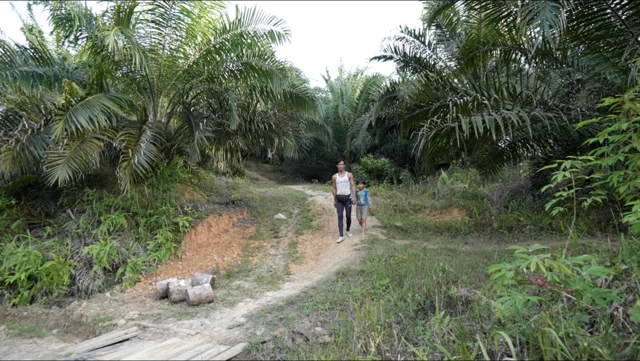 Punan Batu, Kalimantan, lingkungan, adat