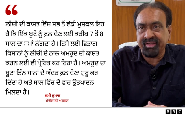ਖੇਤੀਬਾੜੀ ਅਫ਼ਸਰ