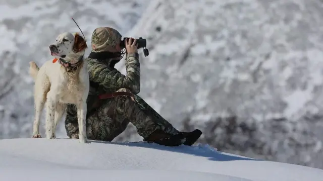 Christine Cunningham