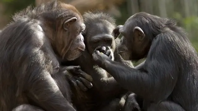 Qala onlayn porno filmlar HD porno sindrive