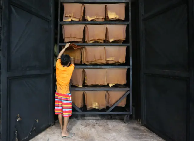 พนักงานโรงงานกำลังจัดเรียงยางแผ่น