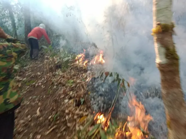 ทำแนวกันไฟ