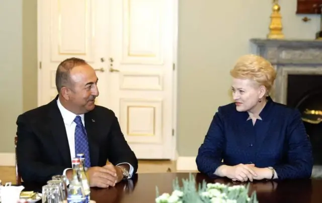 Mevlüt Çavuşoğlu ve Dalia Grybauskaite