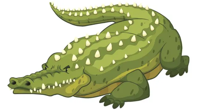crocodile