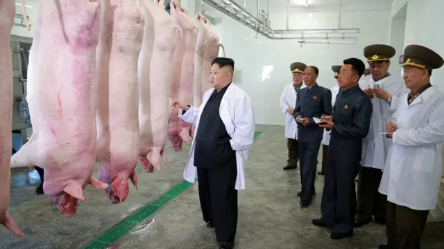 Korea utara, Kim Jong-un