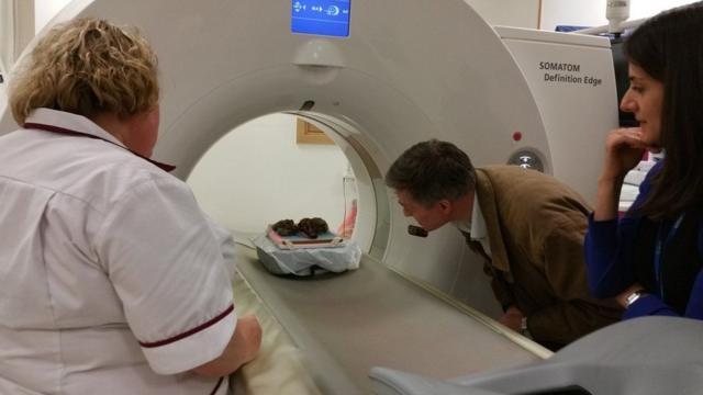 Exames nas amostras antigasjogo de cartas cassino regrasHunter