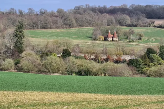 Avropada kənd təsərrüfatı üçün böyük torpaq ehtiyatları var