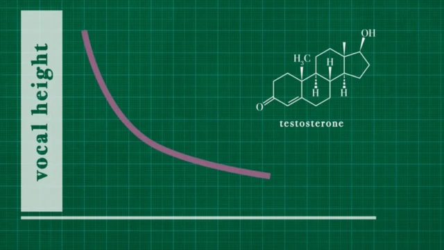 Plus la voix d'un homme est grave, plus son taux de testostérone est élevé. La hauteur de la voix donne donc des indications sur la qualité biologique d'un homme.