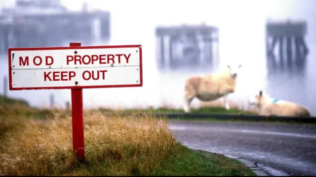 Anuncio, ovejas y mar.