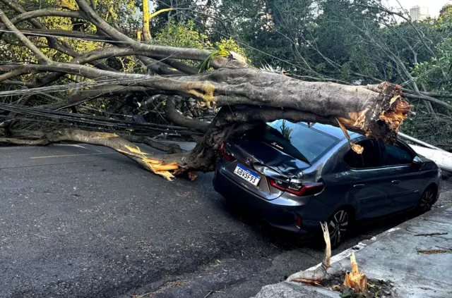 Grande árvore caída sobre carro