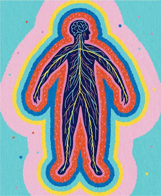  ਸੰਕੇਤਿਕ ਤਸਵੀਰ 