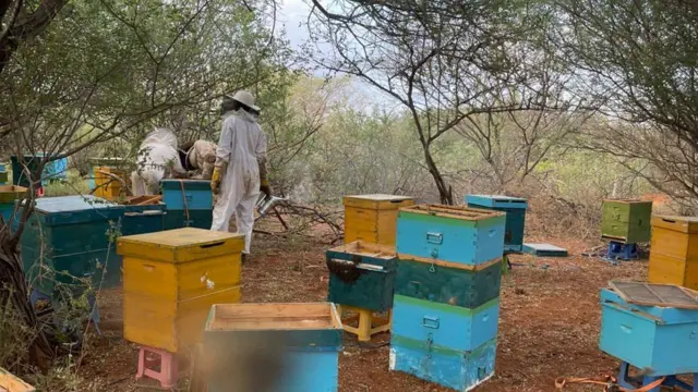 Dinara Barzabaeva eshakni sorib sikish