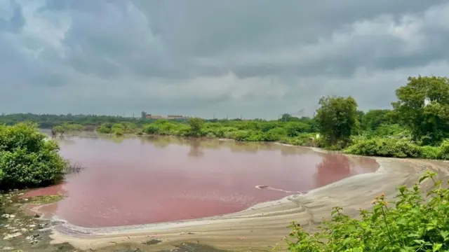 ஏரி மாசுபாடு, கழிவு நீர் கலப்பு, நீர் மாசுபாடு, தெலங்கானா 