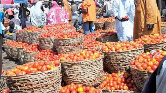 Ọja tomato kan
