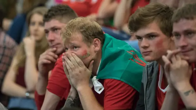 Aficionados de Gales