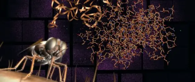 ภาพจากเครื่องเอกซ์เรย์ลำแสงซินโครตรอน เผยให้เห็นโครงสร้างโมเลกุลของโปรตีนที่เกี่ยวข้องกับการแพร่ระบาดของโรคไข้หลับแอฟริกัน