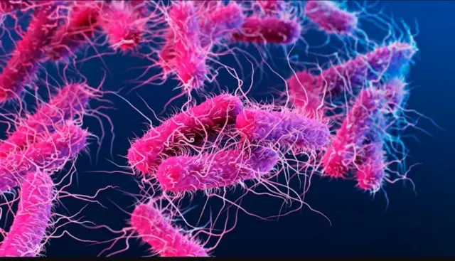 अँटिबायोटिक्स