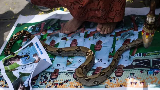 Una serpiente sobre la foto de los All Whites