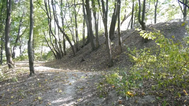 Залишки валів