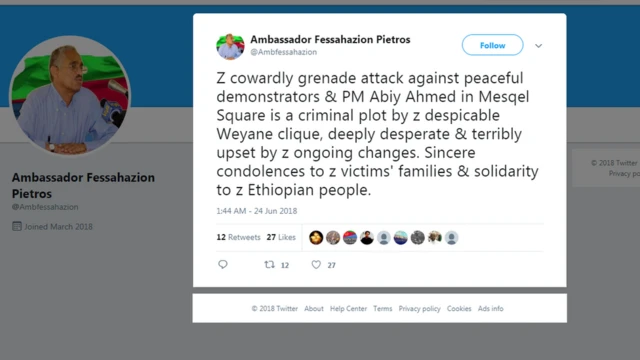 ኣምባሳደር ፍስሃጽዮን ጴጥሮስ