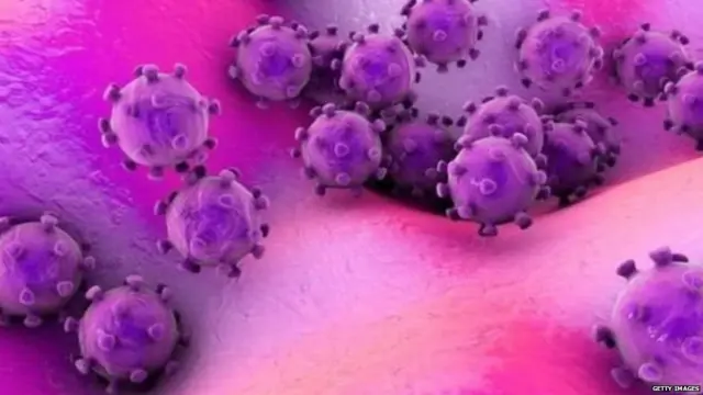 कोरोना वायरस