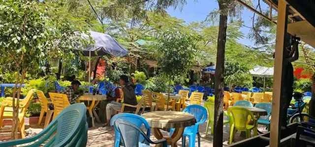ሓረግ መናፈሻ