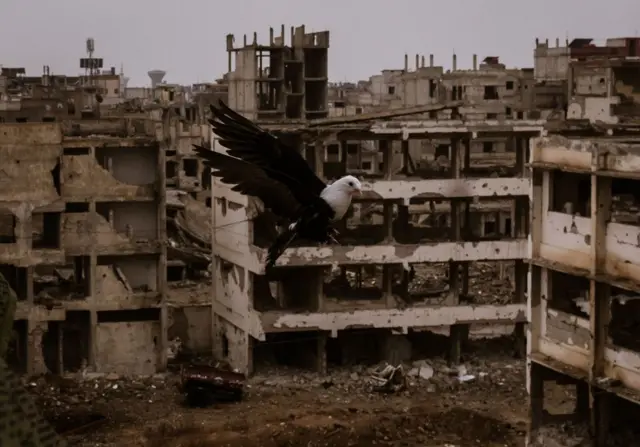 تلاشهای متعدد برای برقراری آتشبس میان اسرائیل و حماس شکست خورده است