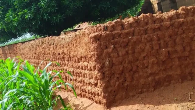 Gidan iyalan da suka rasu bayan sun ci rogo a ƙauyen Naman Goma