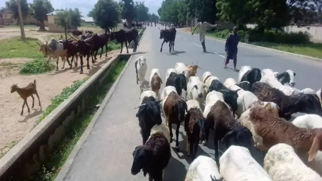 'Yan gudun hijirar rikicin Zamfara