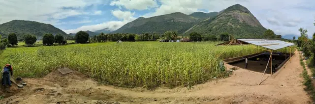 மோளப்பாளையத்தில் தொல்லியல் ஆய்வு நடைபெறும் இடம்