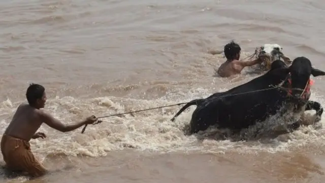 રાવી નદી