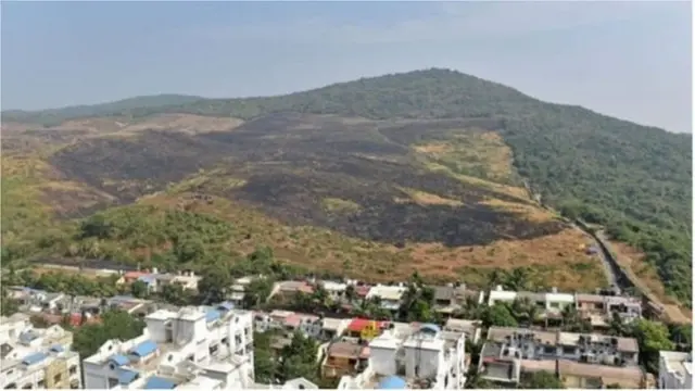 आरे कॉलनी