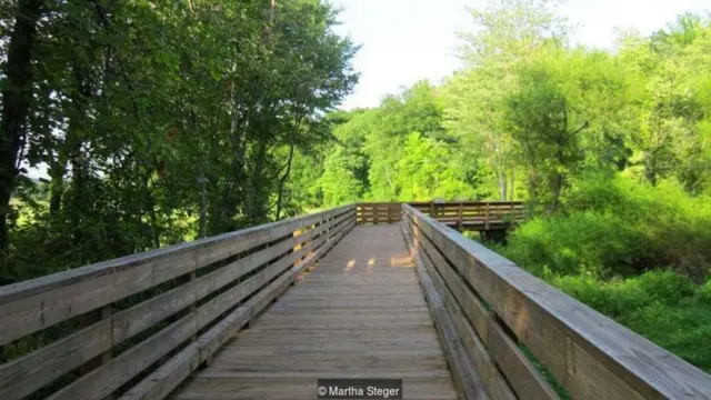 The loop around the island is 1.7 miles long and offers spectacular views of nature