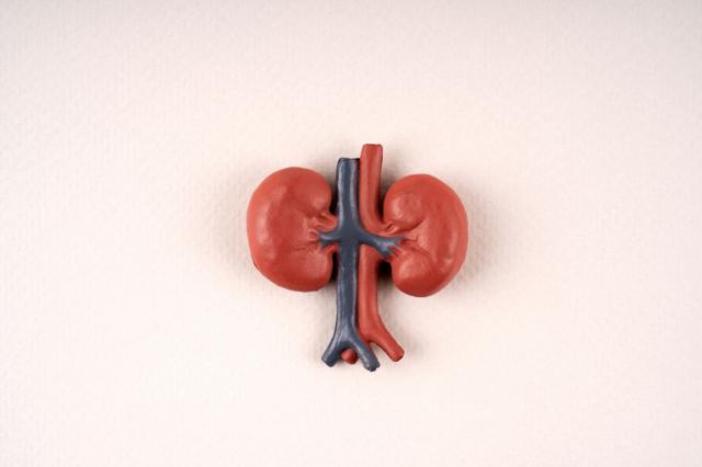 சிறுநீரக பாதிப்பு