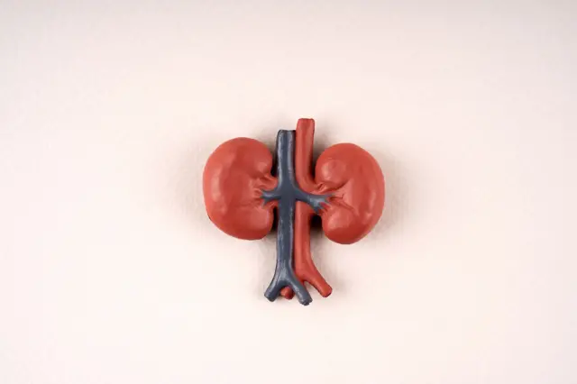 சிறுநீரக பாதிப்பு 