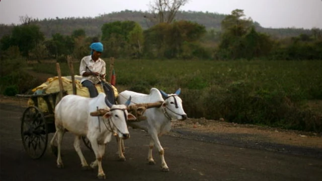 వ్యవసాయం