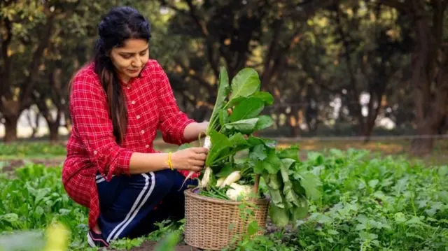 બીબીસી ગુજરાતી ચરબી ફેટ કોલેસ્ટ્રૉલ હૃદયરોગ હાર્ટ એટેક આરોગ્ય બીમારી ફાઈબર