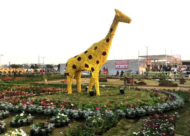 ફ્લાવર શો.