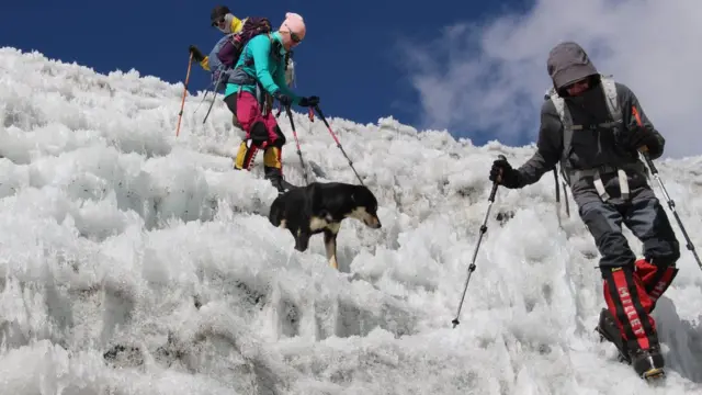 Мера Гімалаї