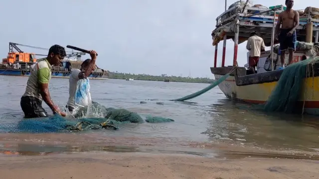 मासेमारी