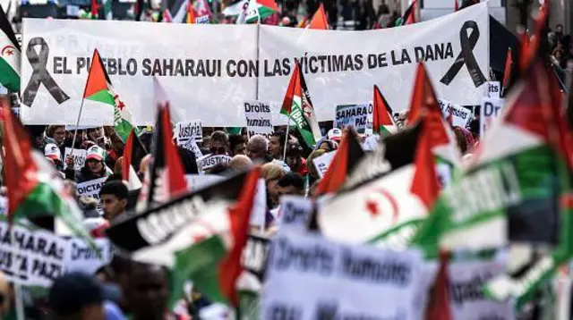 مظاهرة في مدريد تطالب بتقرير المصير في الصحراء الغربية 