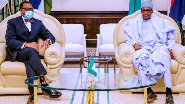 President Buhari and Akinwumi Adesina