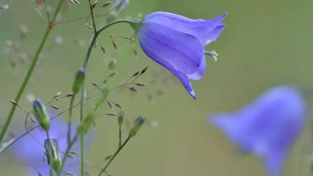 प्रातिनिधिक फोटो