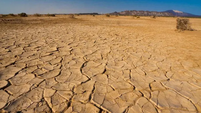 Daalool, lafa gogee babbaqaqe