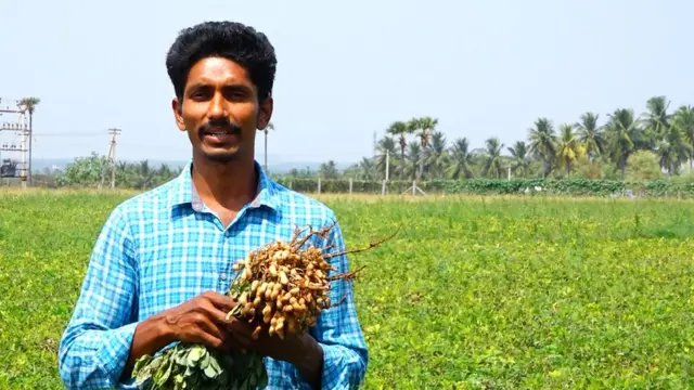 விதைப்பண்ணை